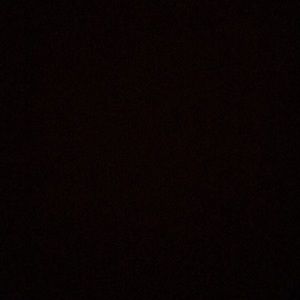 Meet your Posher, Ella